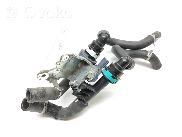 Toyota RAV 4 (XA50) Zusatzwasserpumpe A19BB2439