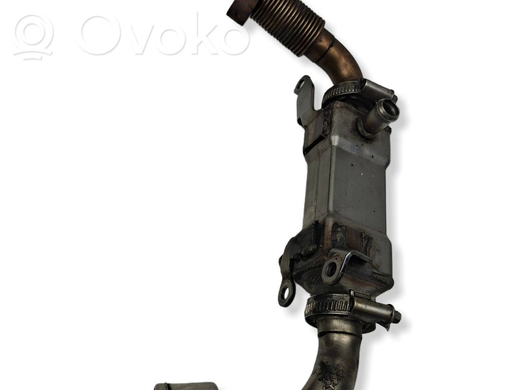 BMW 7 E65 E66 EGR aušintuvas 
