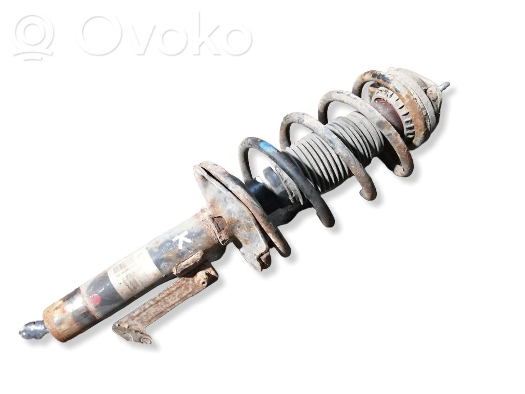 Amortyzator osi przedniej ze sprężyną   2T1418058EM