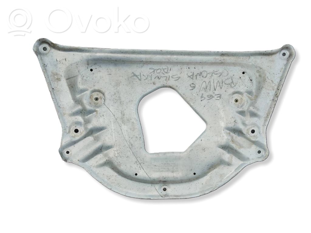 Engine splash shield/under tray   6759879