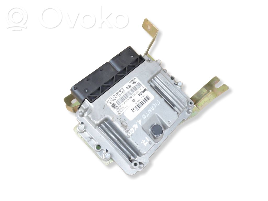 Engine control unit/module   0281012633,391072A010,391012A010
