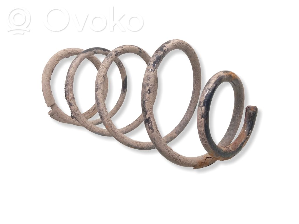 Front coil spring