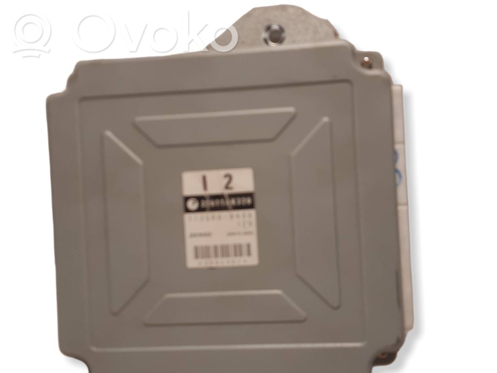 Subaru Legacy Engine control unit/module 