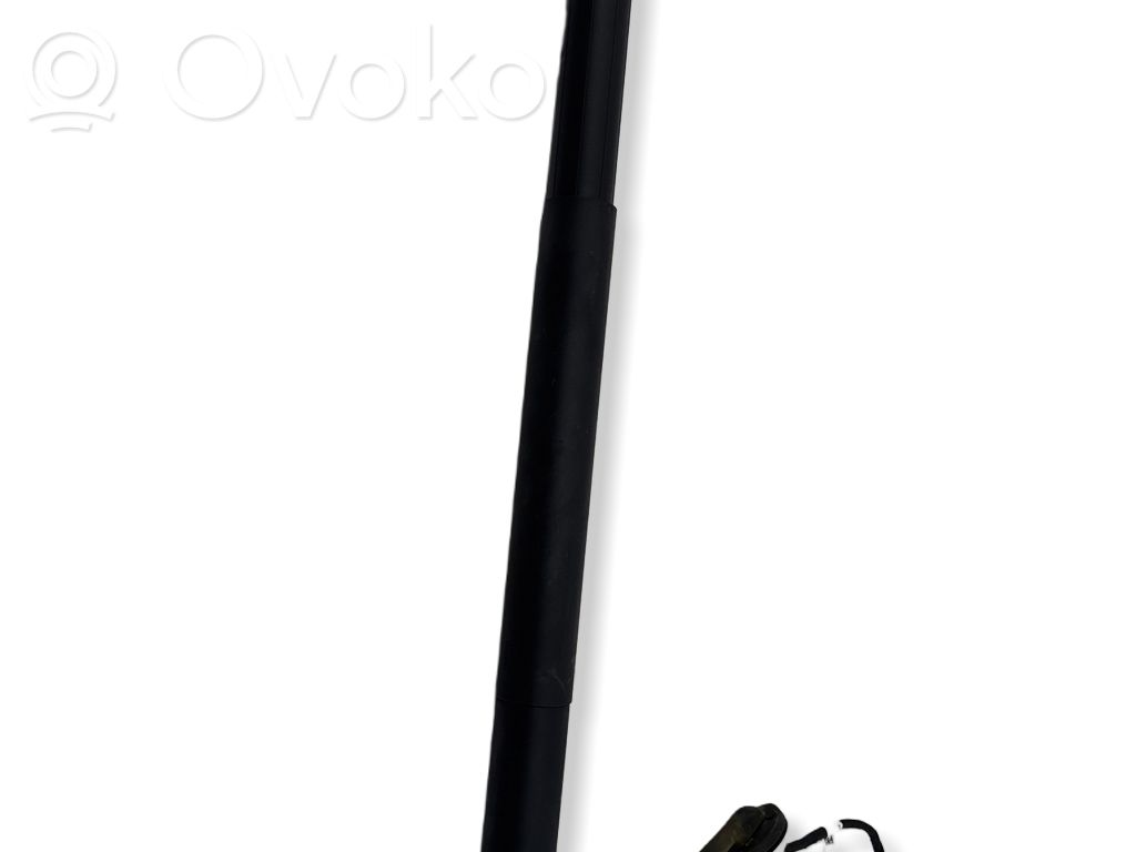Tesla Model Y Tailgate/trunk strut/damper 