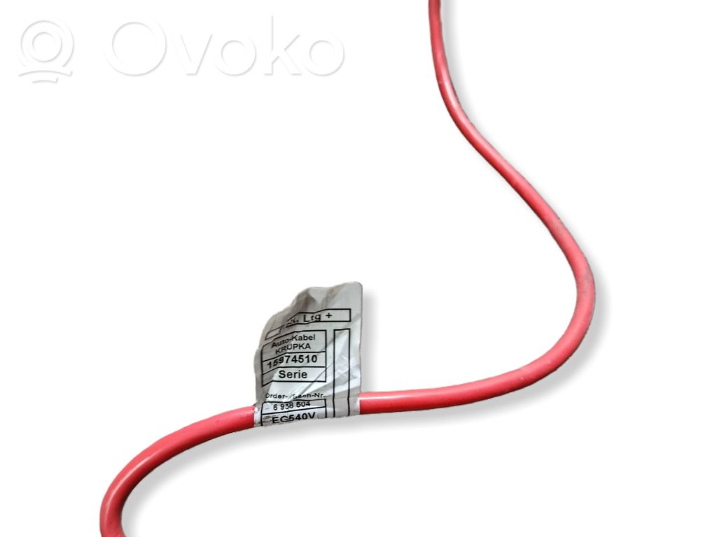 Positive cable (battery)   15974510,EG540V,6938504