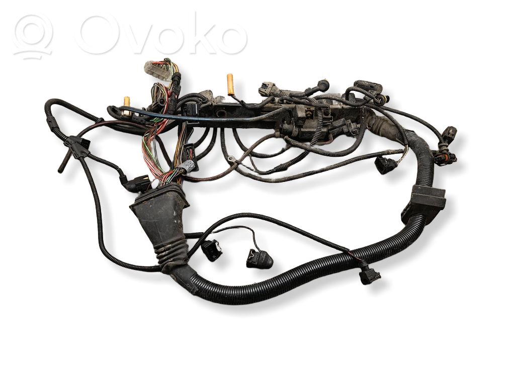 Engine installation wiring loom   755020Z6,E5508M6,224941302,2247148