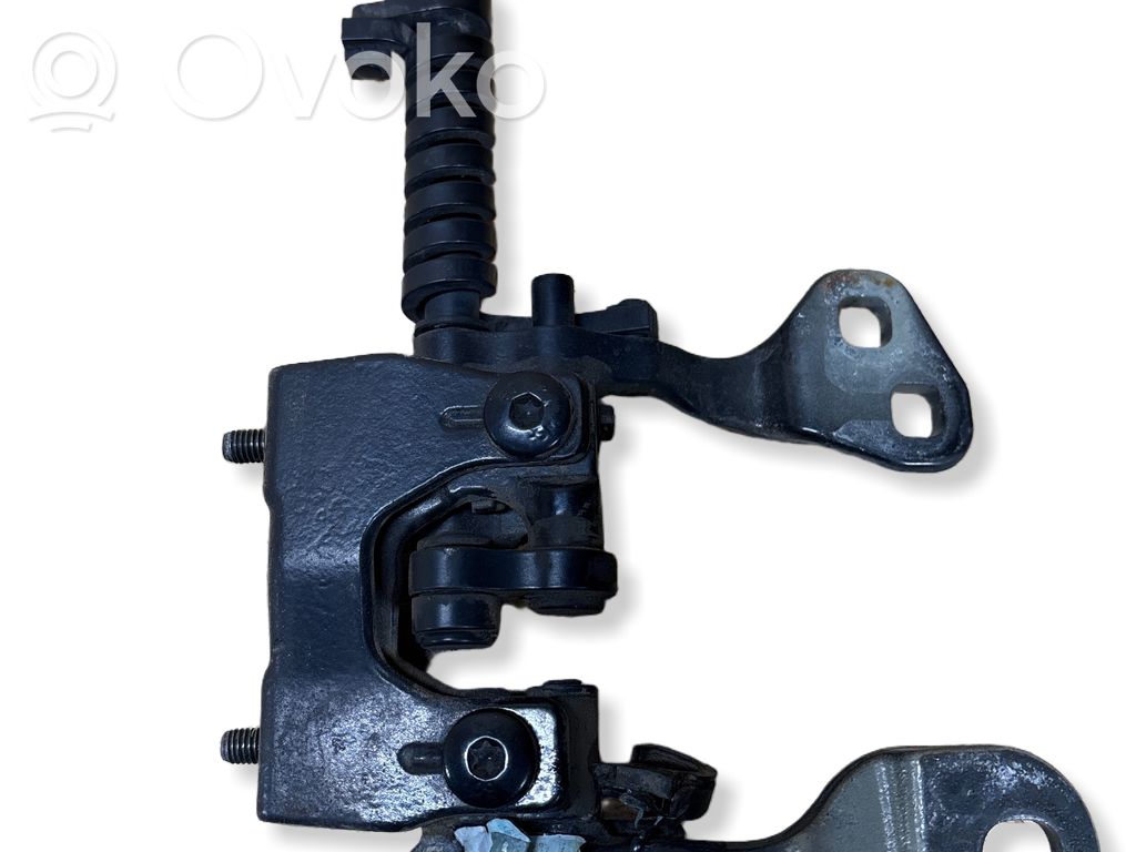 Tailgate/trunk/boot hinge   7119042,7152676,41627152676