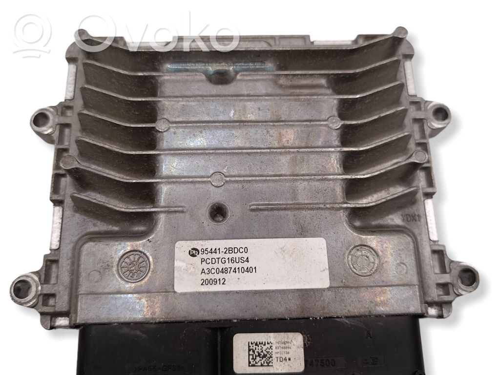 Engine control unit/module   954412BDC0,PCDTG16US4,A3C0487410401