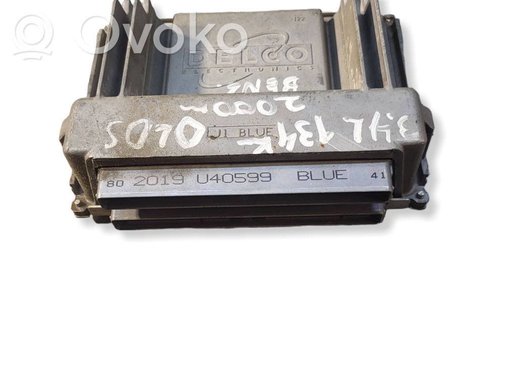 Chevrolet Trans Sport Engine control unit/module 