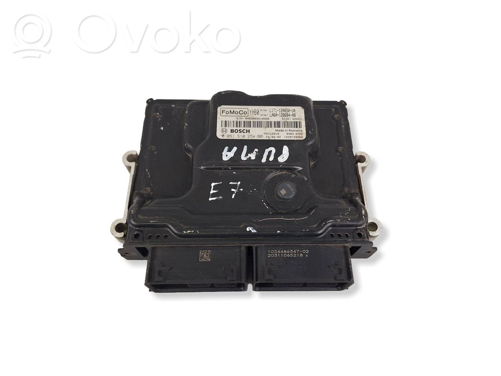 Ford Puma Engine control unit/module 