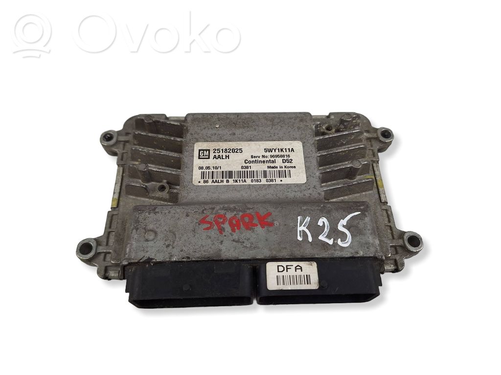 Engine control unit/module   25182025,5WY1K11A