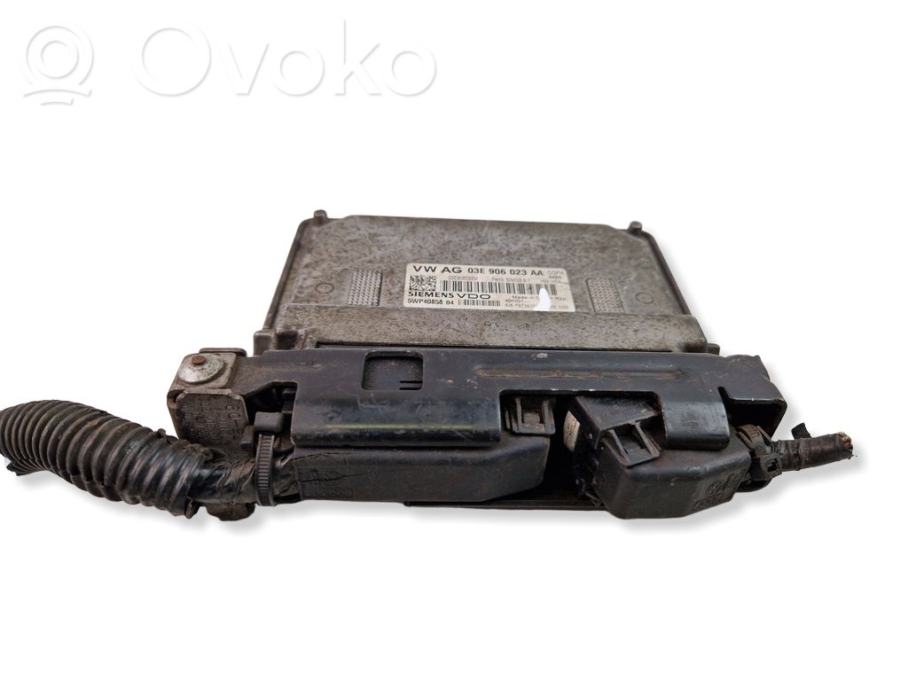 Seat Ibiza III (6L) Engine control unit/module 