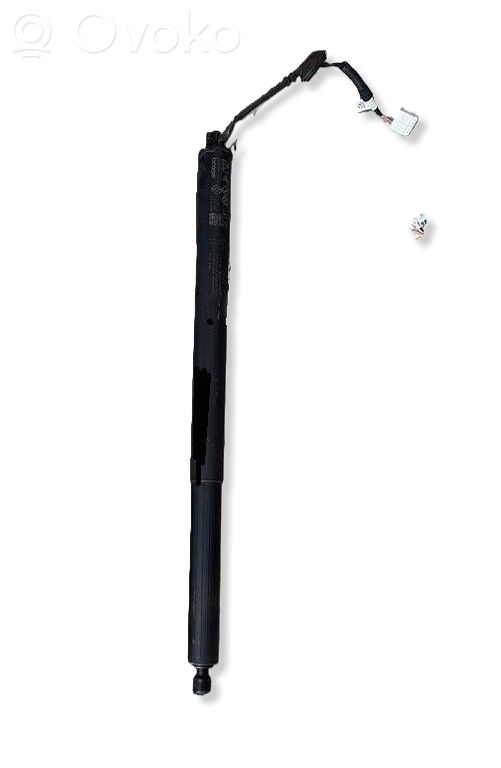 Tailgate strut   904515858R
