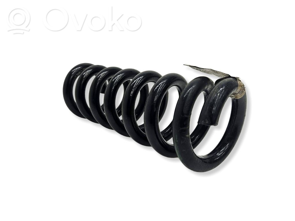 Dodge Challenger Rear coil spring 