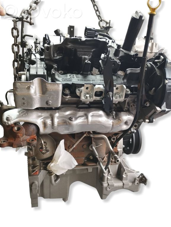 Engine   BF2X,DXWB