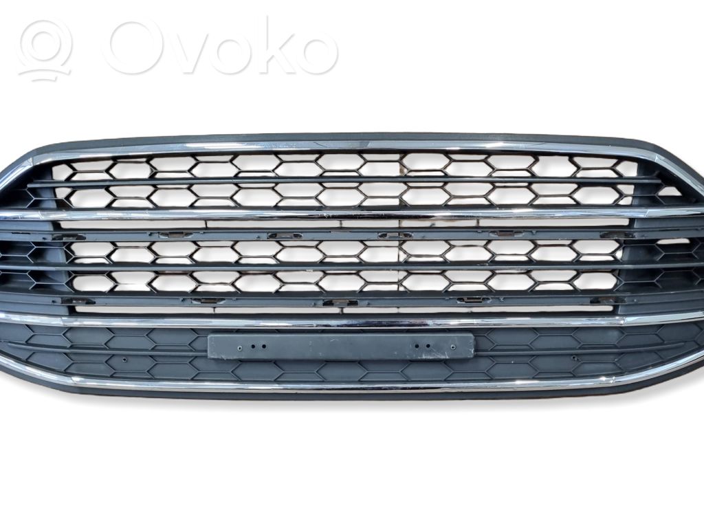 Front grill   17B968