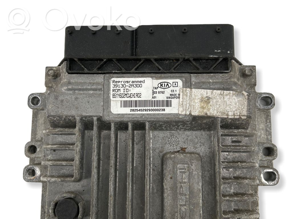 Engine control unit/module   391302A300,28254529293