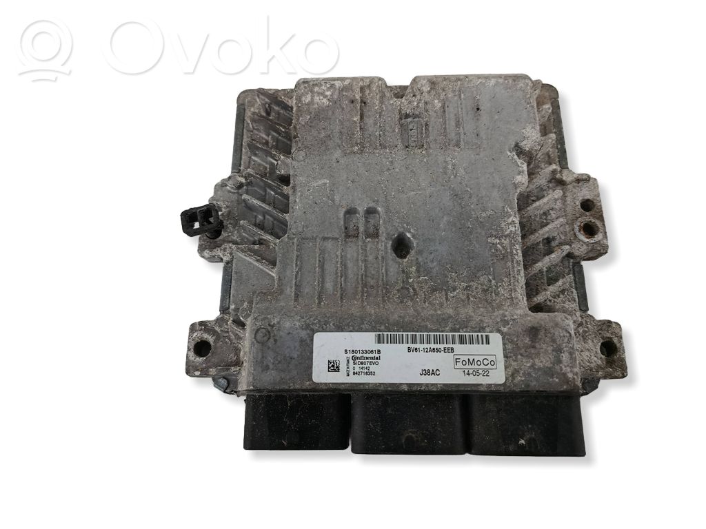 Ford Focus Engine control unit/module 