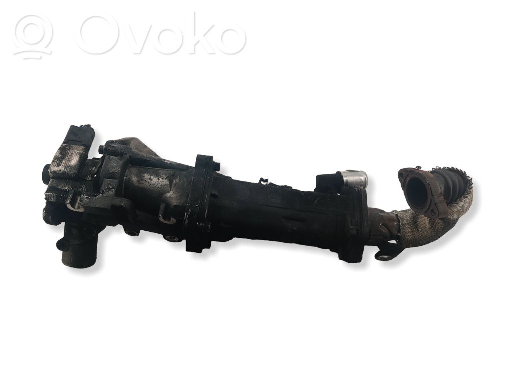 Land Rover Evoque I Válvula EGR 