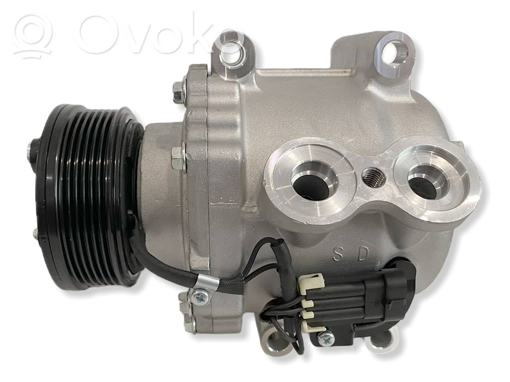Chevrolet TrailBlazer Compressore aria condizionata (A/C) (pompa) 
