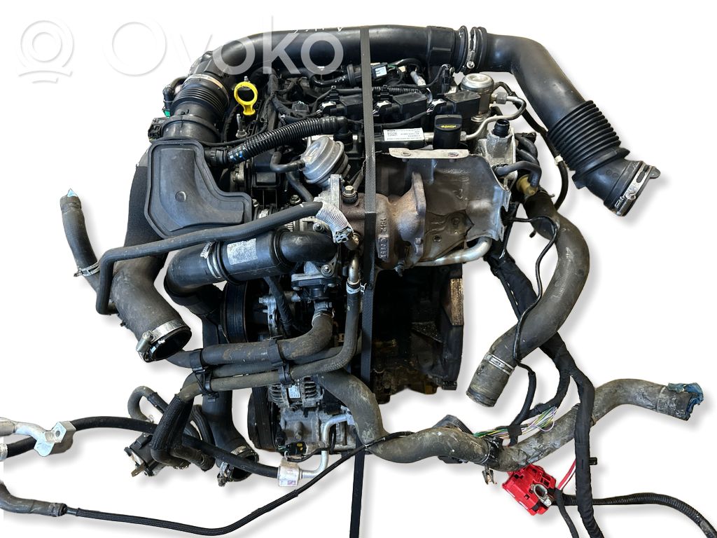 Variklis   SFJK,DM5G9H487AC,H1BG6007CB,HA81555