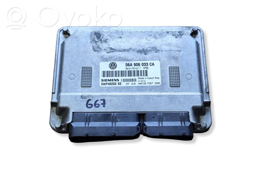 Engine control unit/module ECU   06A906033CA,5WP4020303,715755