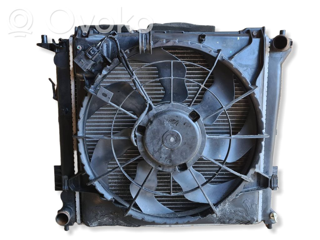 Radiatoru panelis