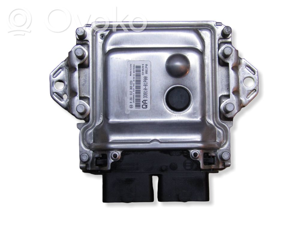 Engine control unit/module   3391081P00,0261S12369,ECM081P00