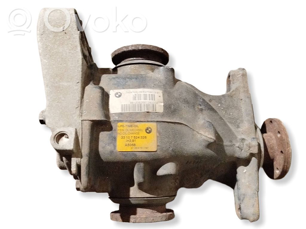 Rear differential   7524326,E27091391,391