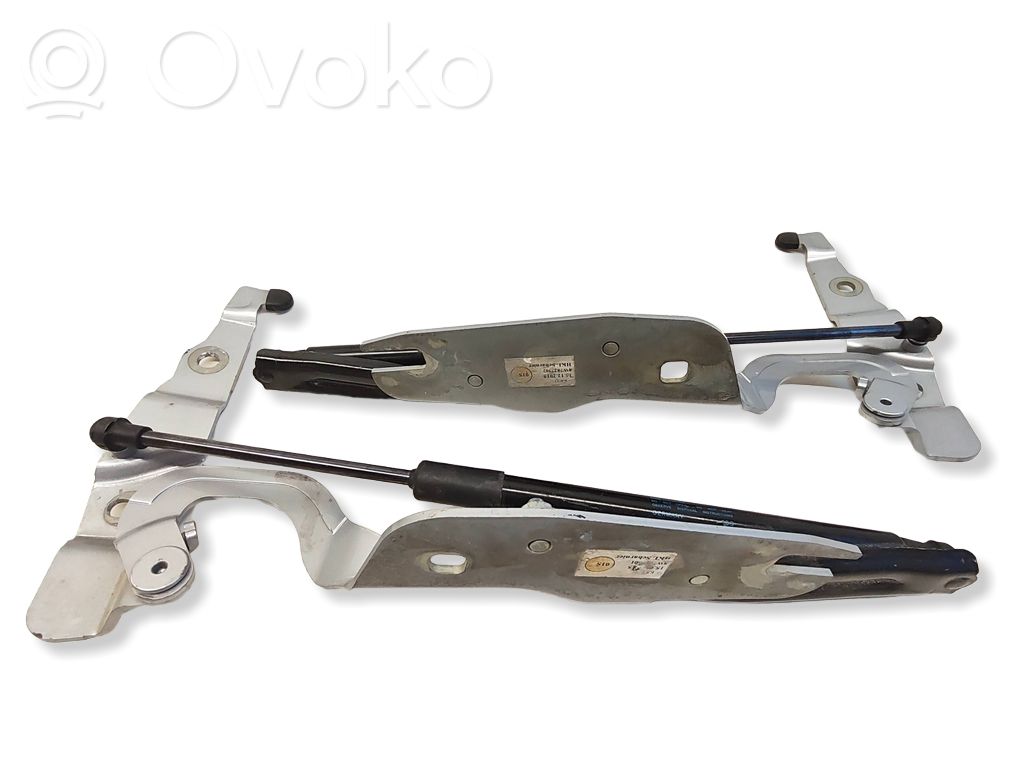 Audi A5 Tailgate/trunk/boot hinge 