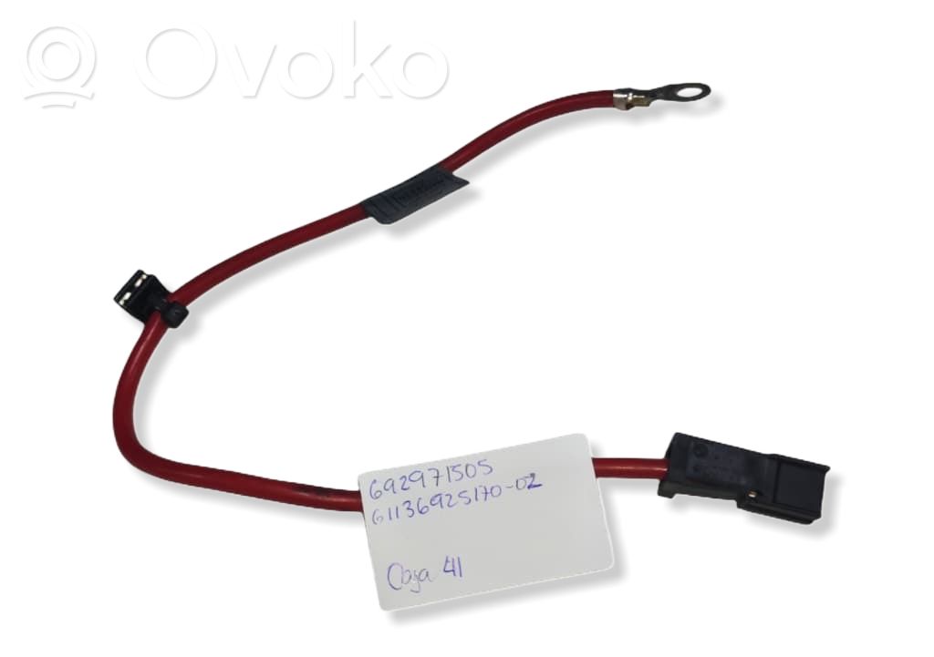 Cable positivo (batería)   692971505,61136925170