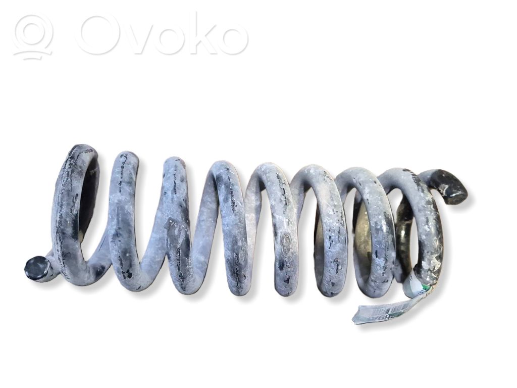 Rear coil spring   1369AF
