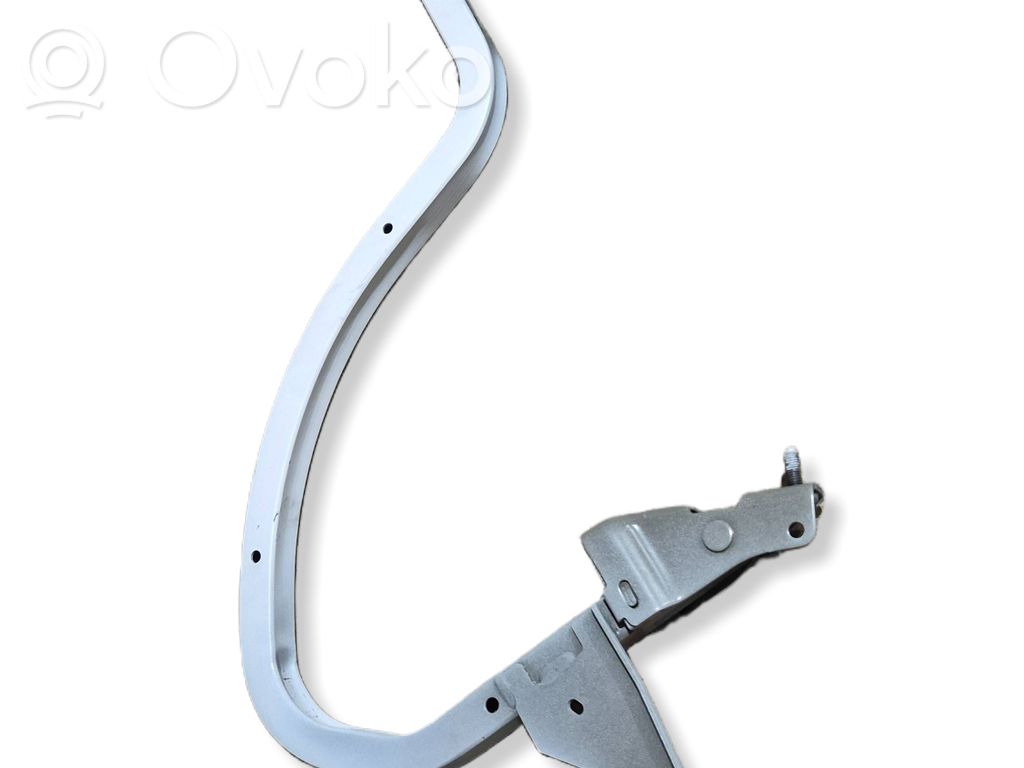 Dodge Charger Tailgate/trunk/boot hinge 