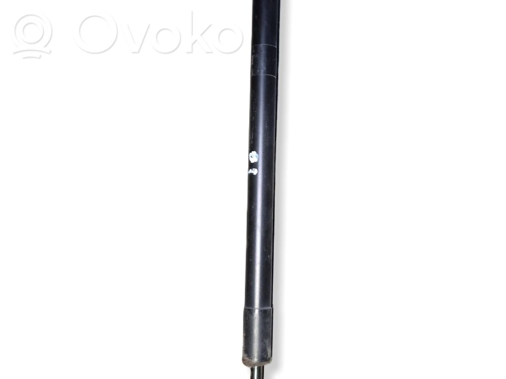 Dodge Durango III Tailgate/trunk strut/damper 