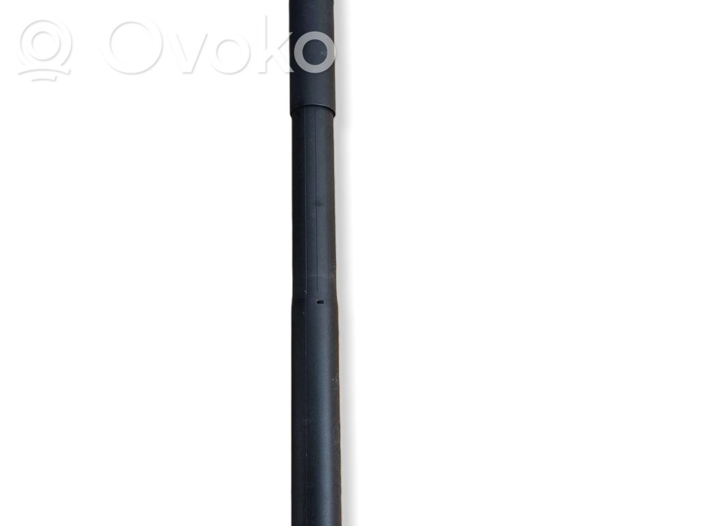 DS Automobiles 4 II Tailgate strut 