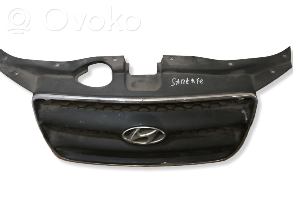 Front grill   E865612B010