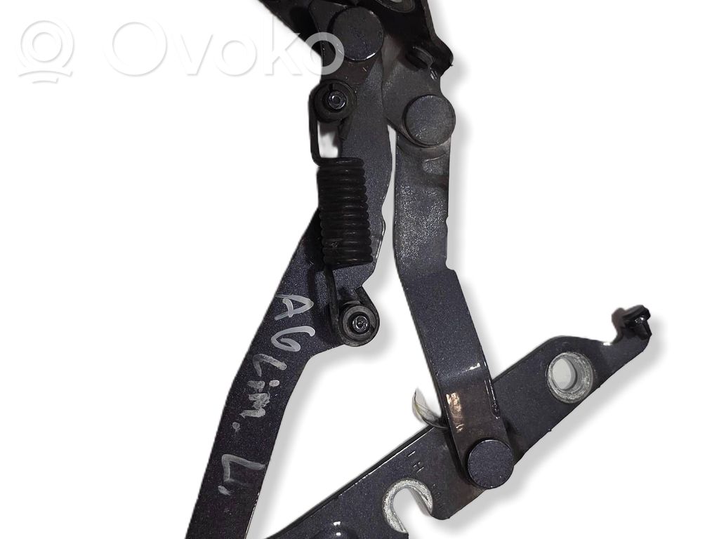Tailgate/trunk/boot hinge