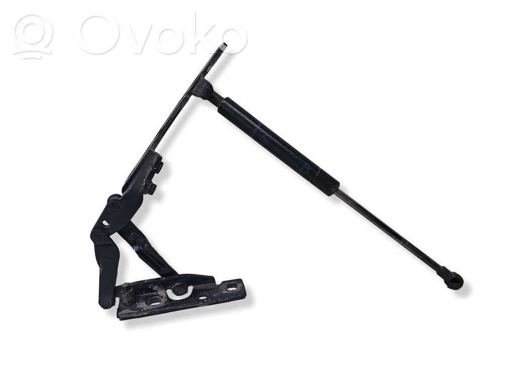 BMW 5 E39 Engine bonnet/hood hinges 