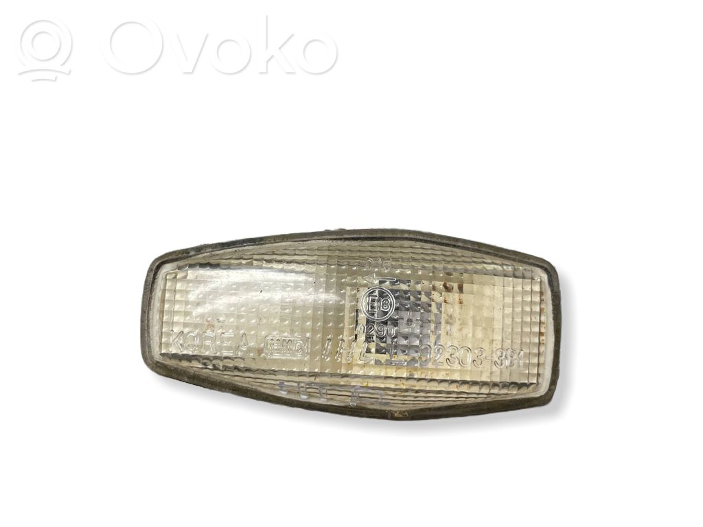 Hyundai Terracan Seitenblinker 