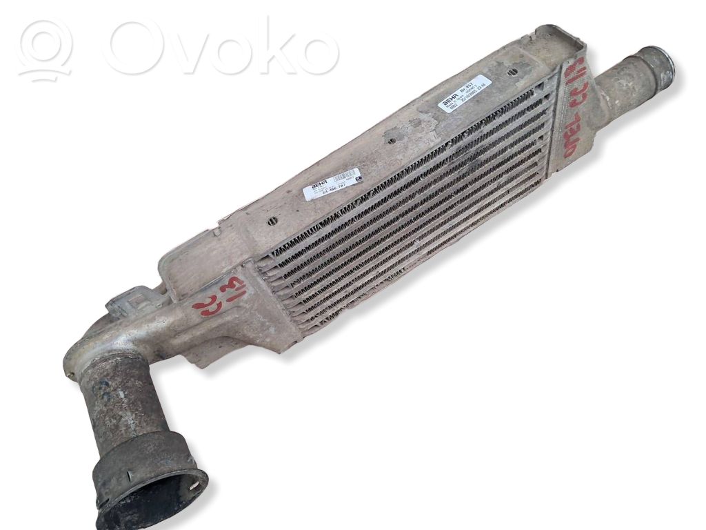 Intercooler radiator   24466787