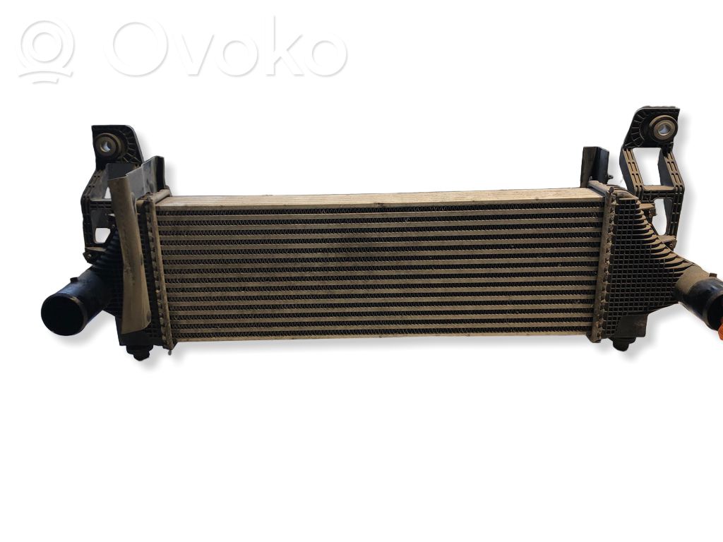 Dodge RAM 1500 DS Interkūlerio radiatorius 