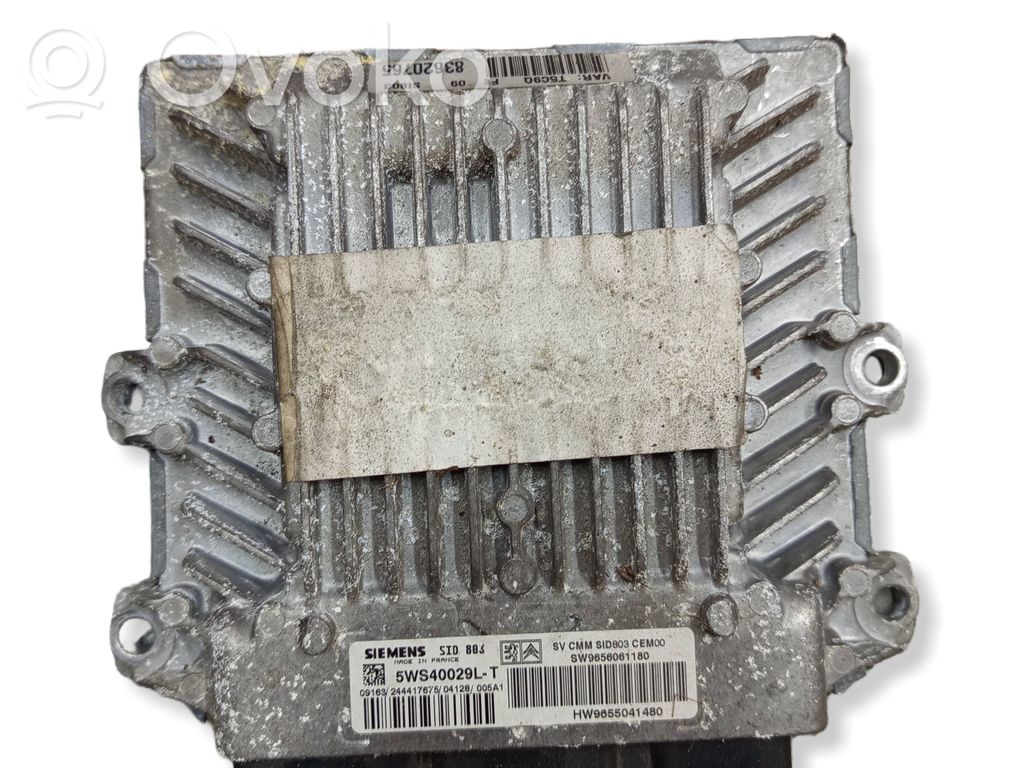 Peugeot 307 Engine control unit/module 