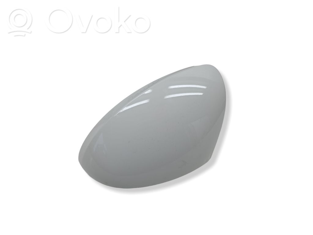 Volkswagen Tiguan Capac plastic oglindă exterioară 