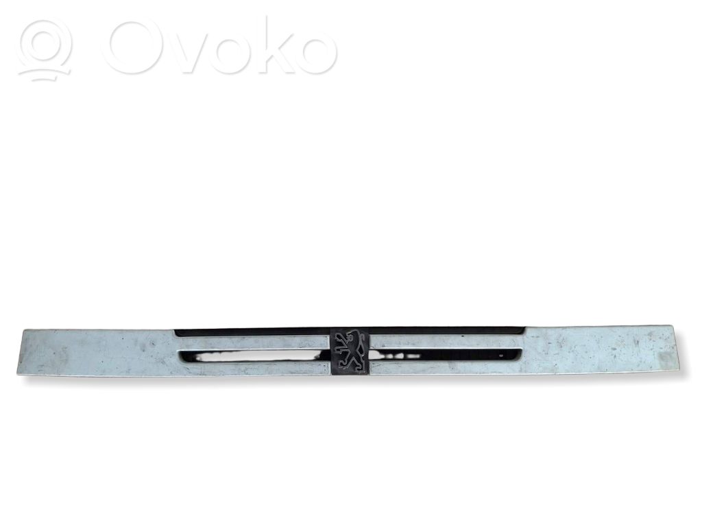 Peugeot Boxer Etusäleikkö 
