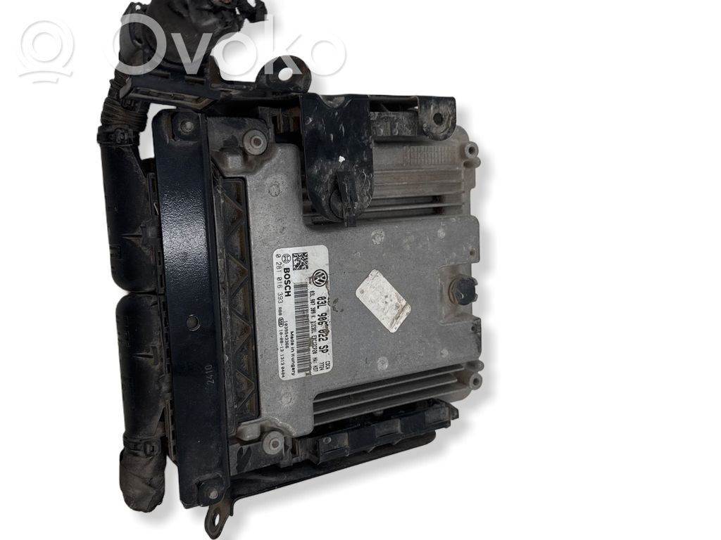 Volkswagen Crafter Engine control unit/module 