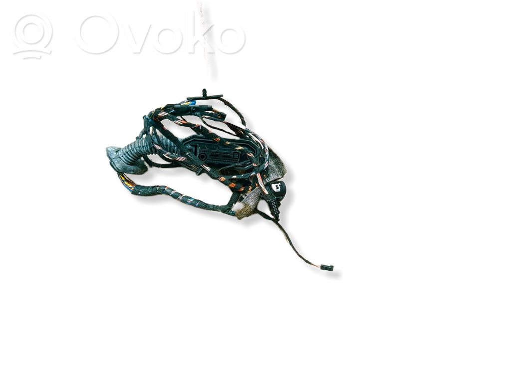 BMW X5 E70 Cableado de puerta delantera 