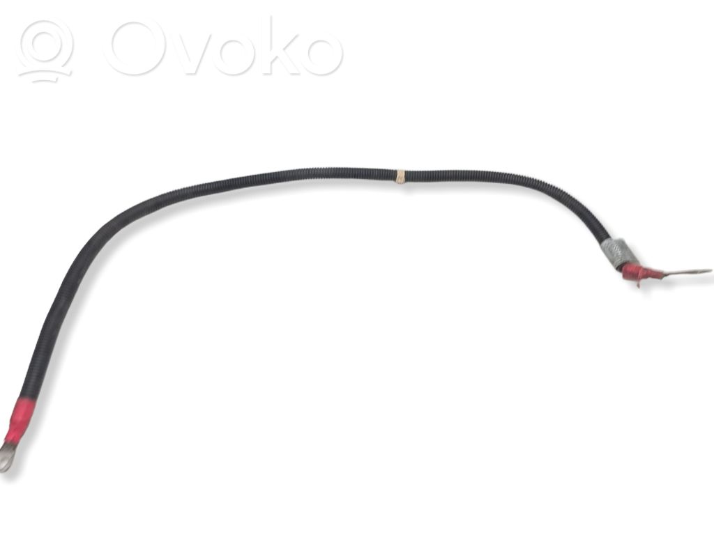 BMW X5 E53 Laidai (starterio) 