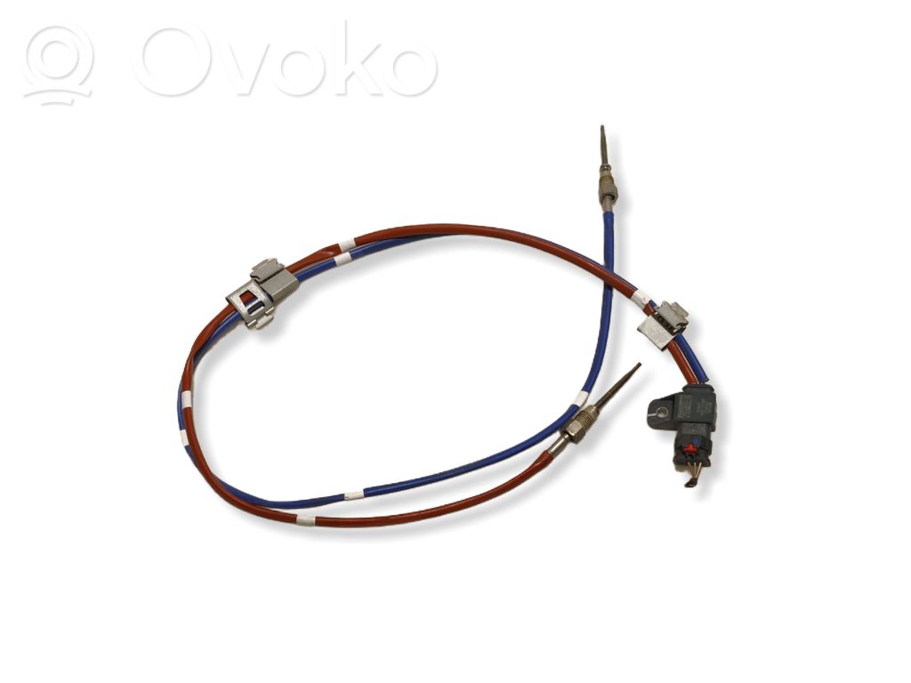 Renault Kangoo III Exhaust gas temperature sensor 