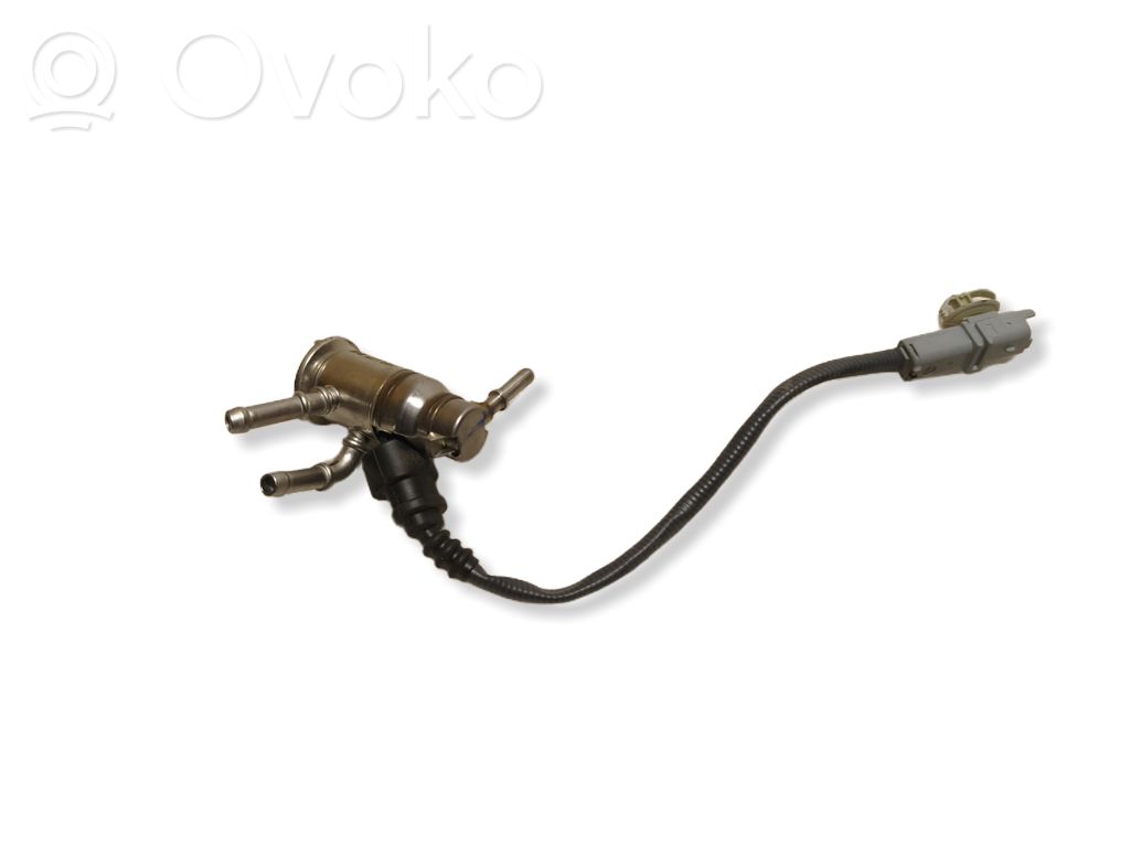 Renault Kangoo III AdBlue injector 