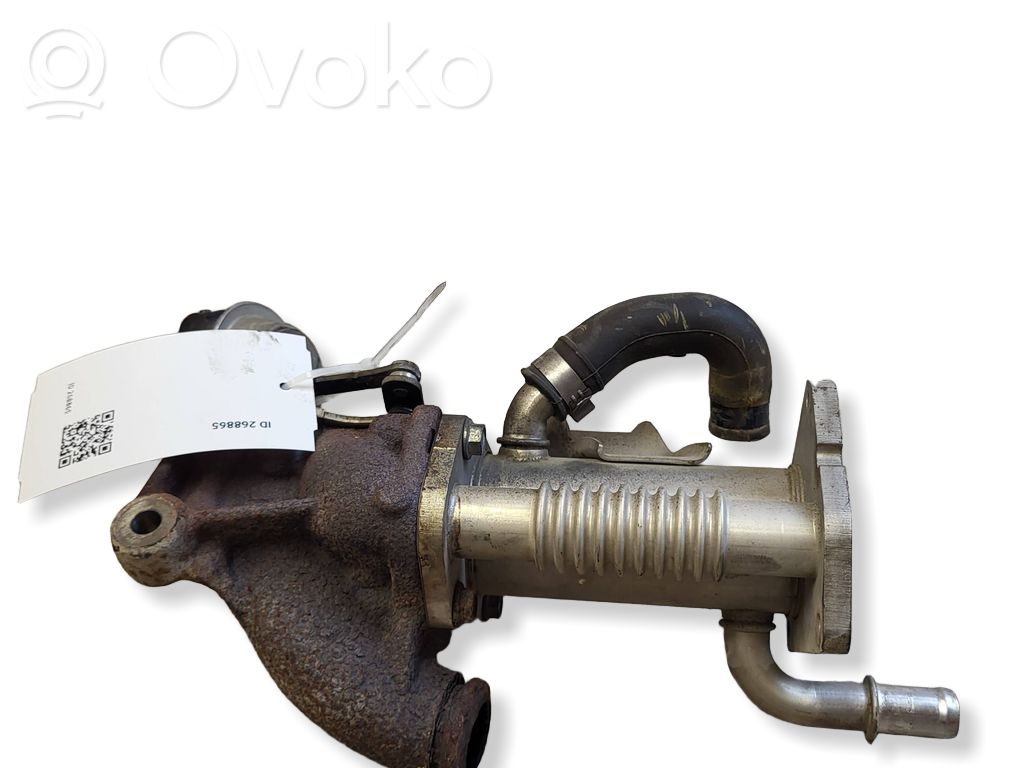 Renault Megane III EGR vārsts 